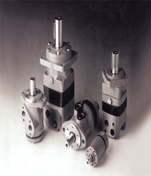 Hydraulic motor